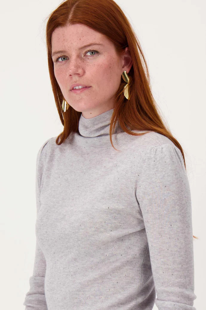 Oorbellen met blad vorm