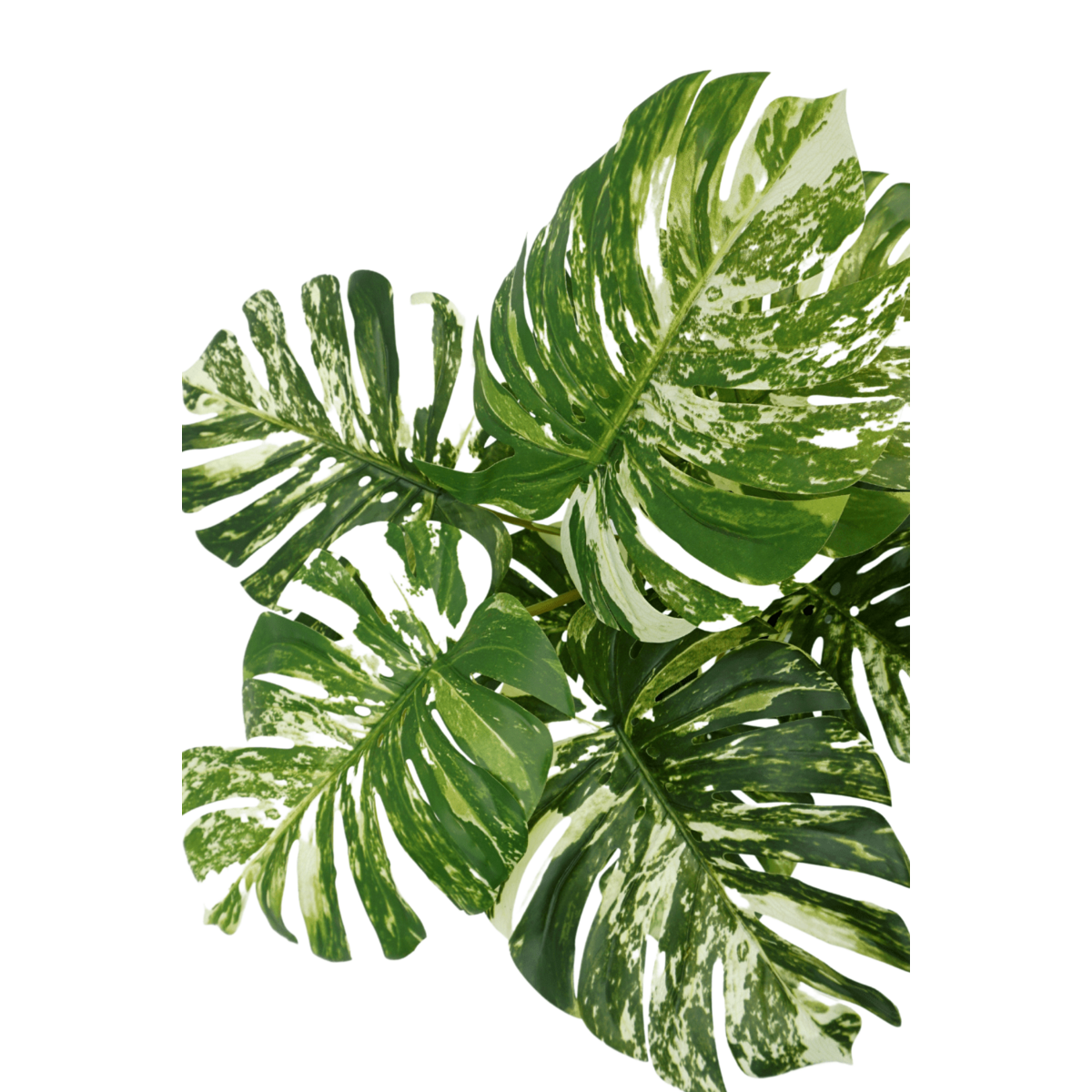 Monstera Kunstplant 75cm