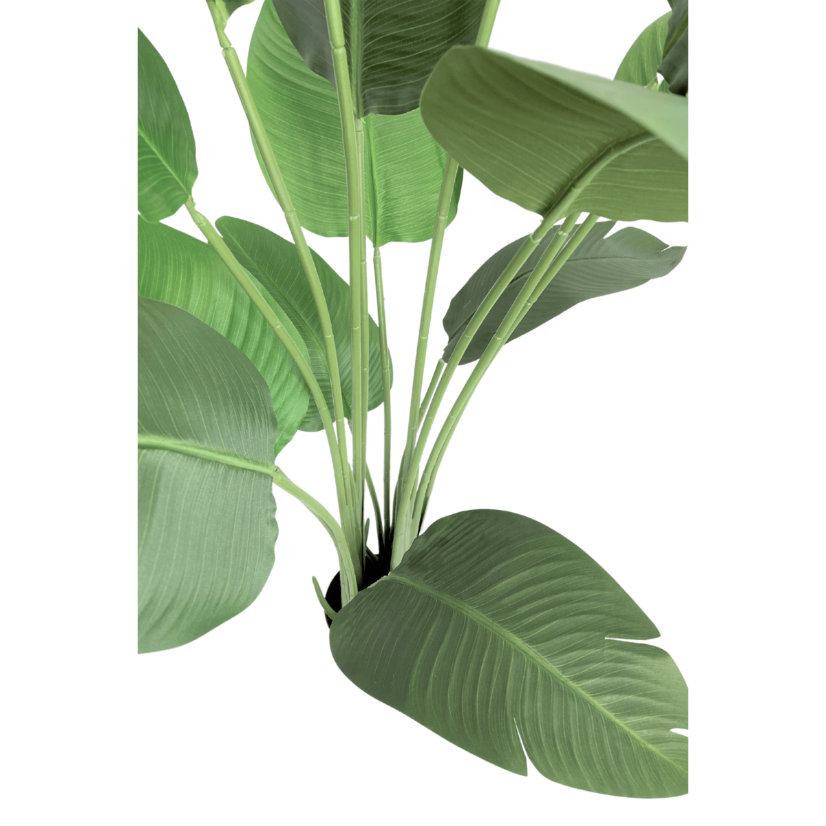 Strelitzia Kunstplant 160cm