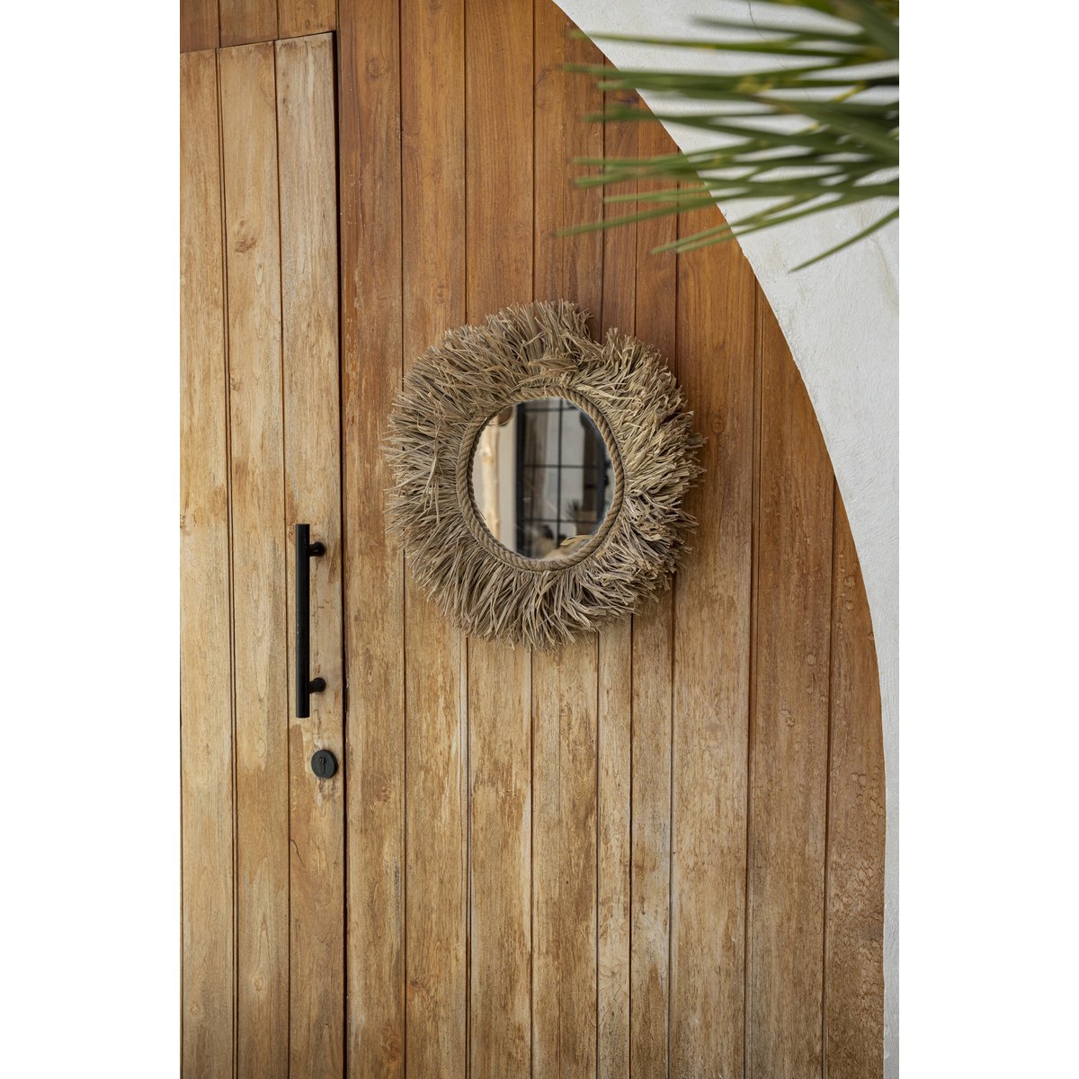 De Haïti-spiegel - natuurlijk