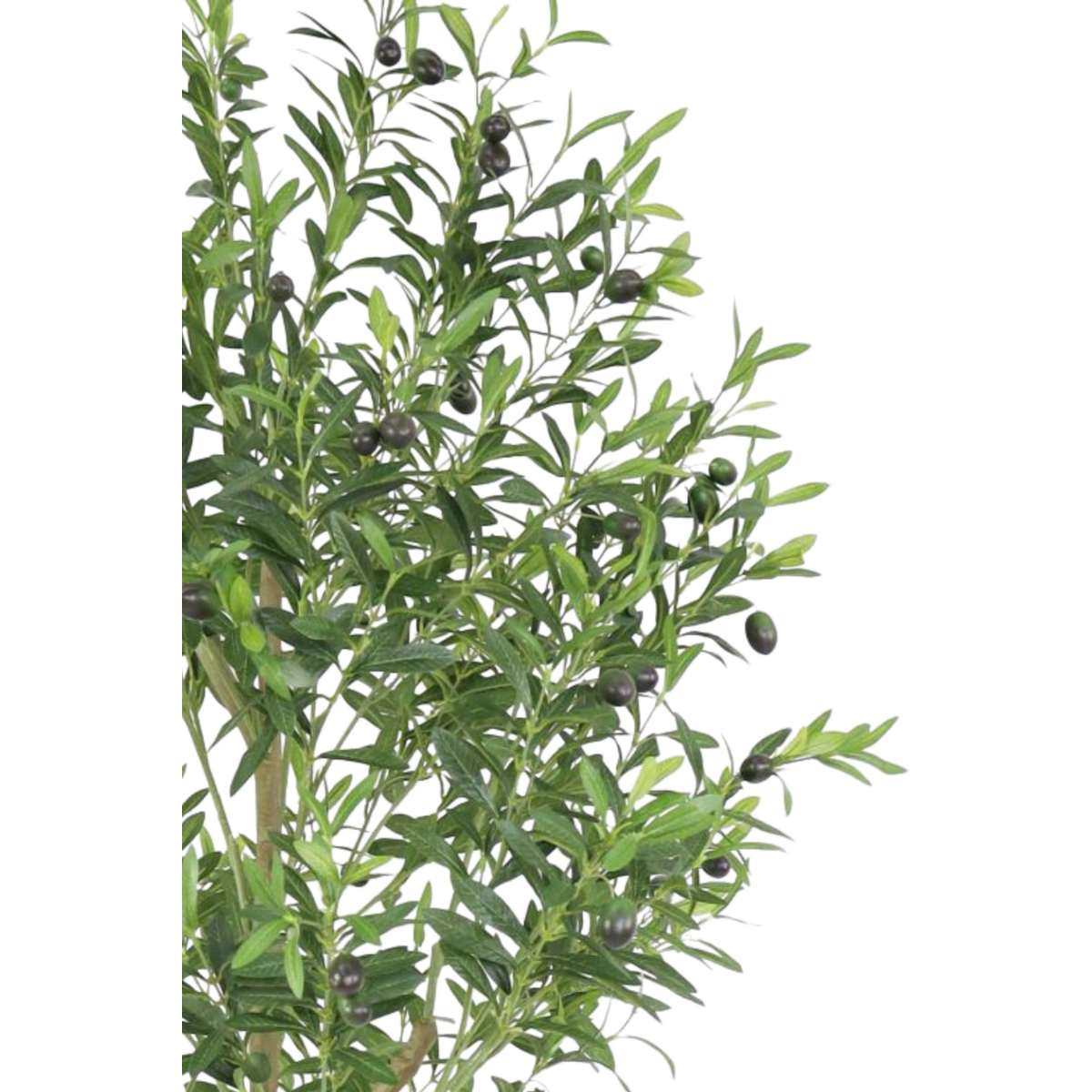 Kunst Olijfboom 180cm