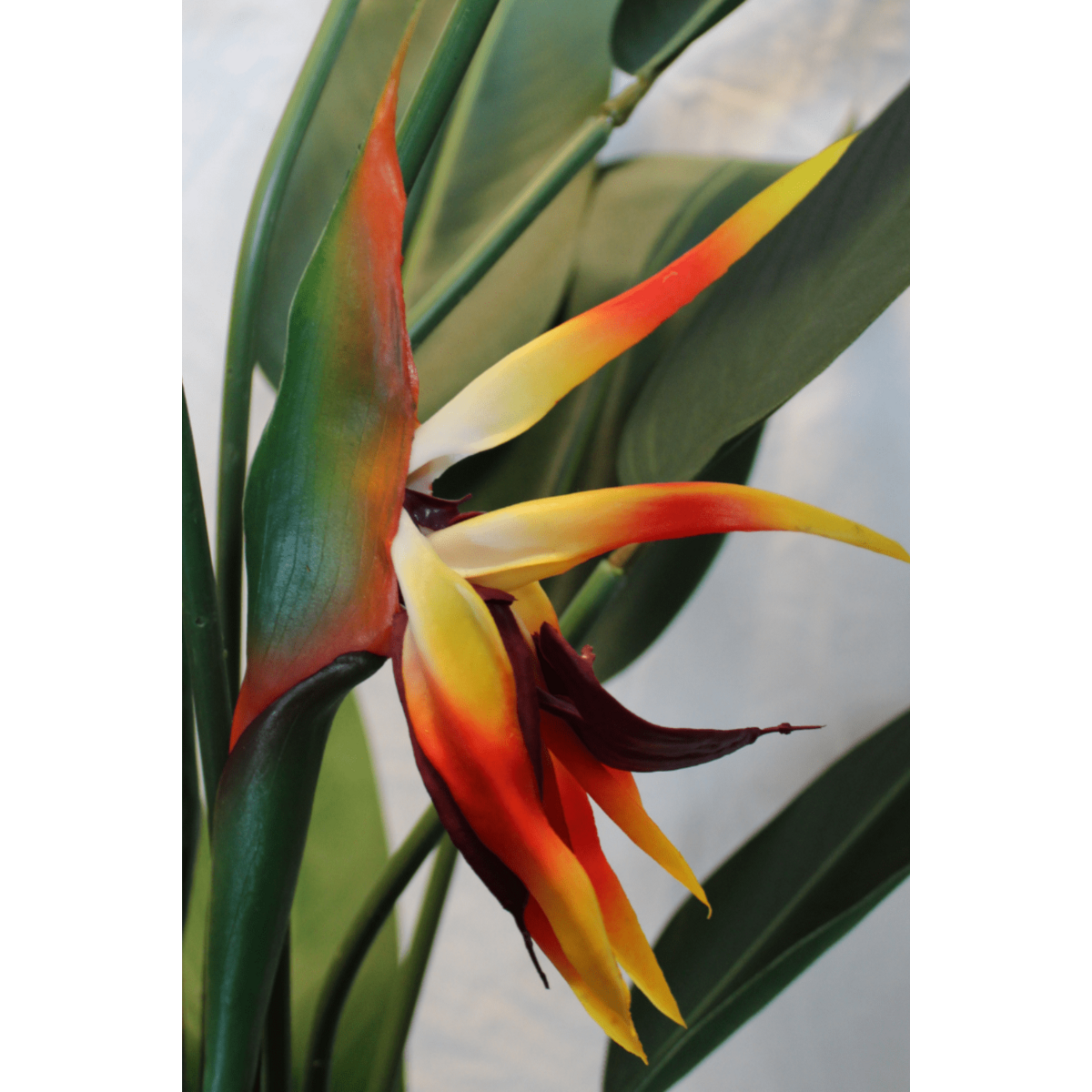 Strelitzia Kunstplant Met Bloem 110cm