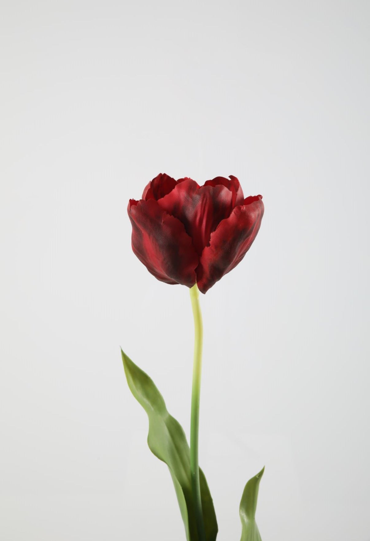 Zijden Tulp rood