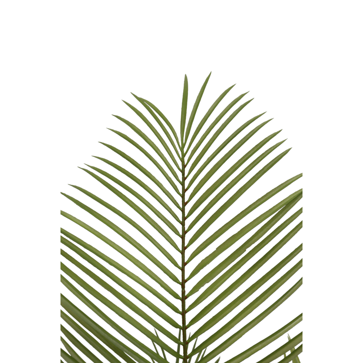 Kunstpalm 150cm