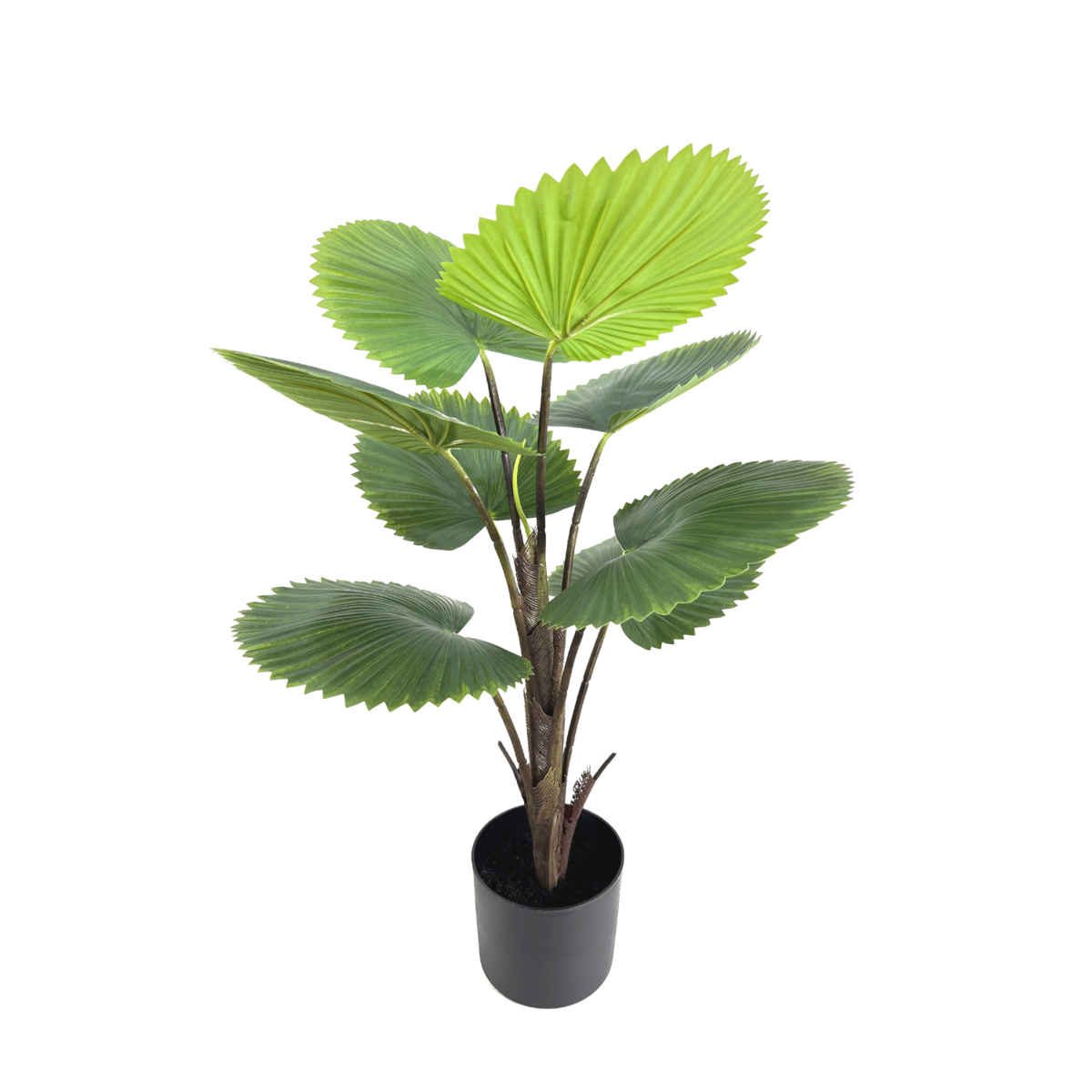 Kunst Waaierpalm 75cm