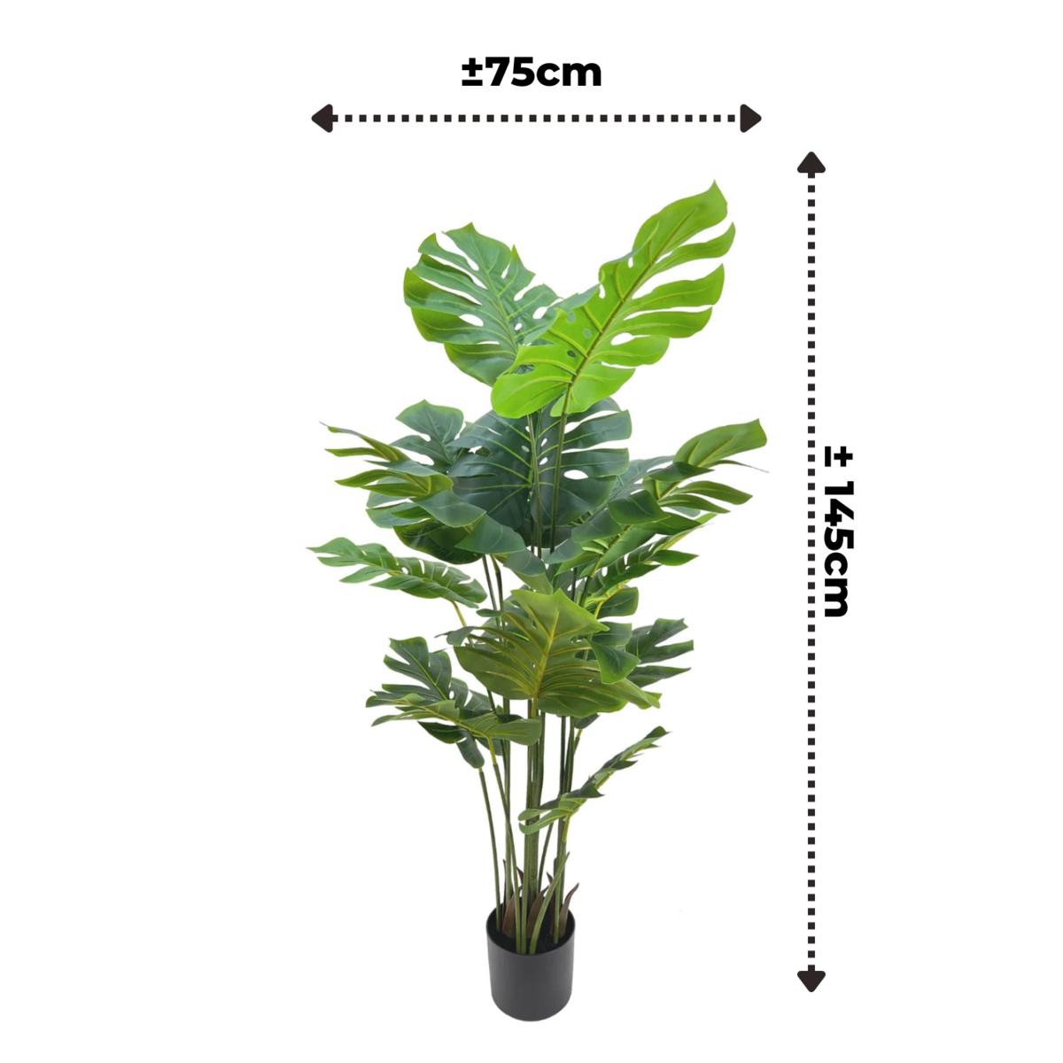 Monstera Kunstplant 145cm