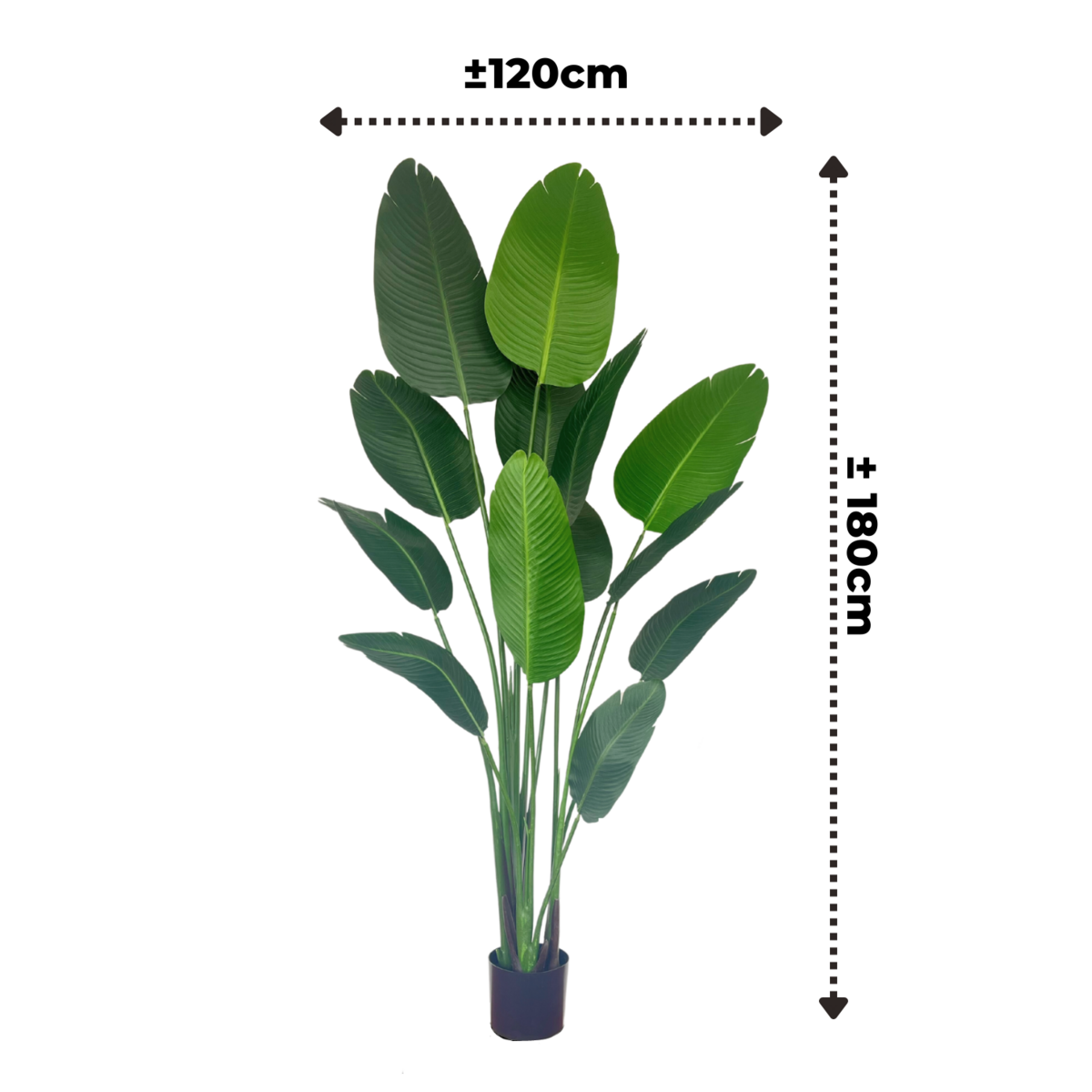 Strelitzia Kunstplant 180cm
