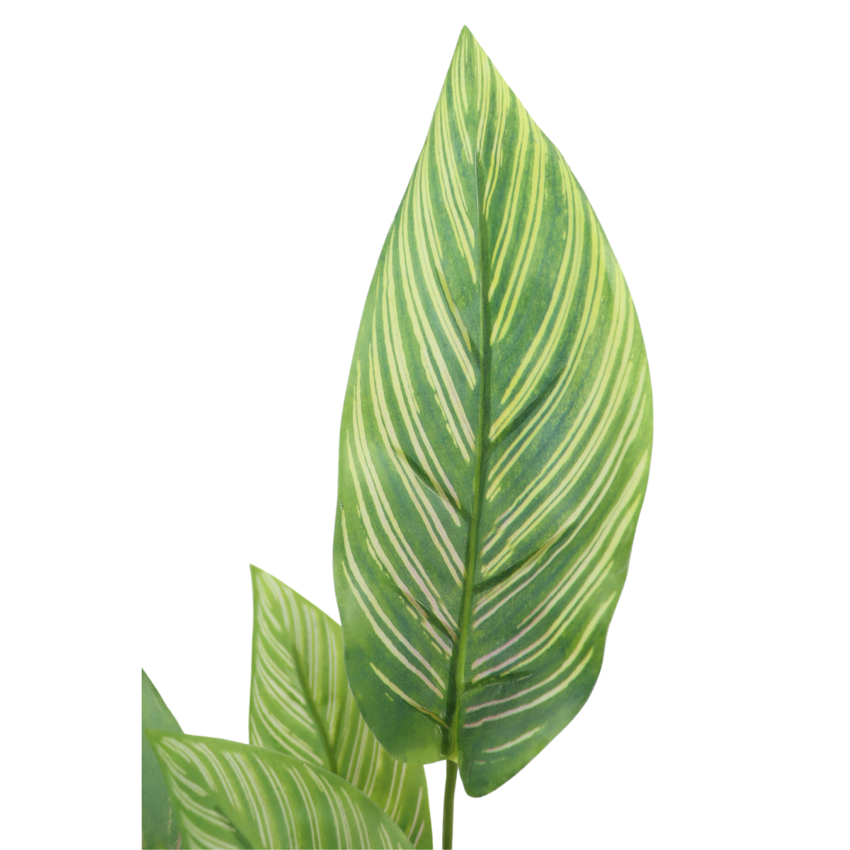 Maranta Kunstplant 40cm