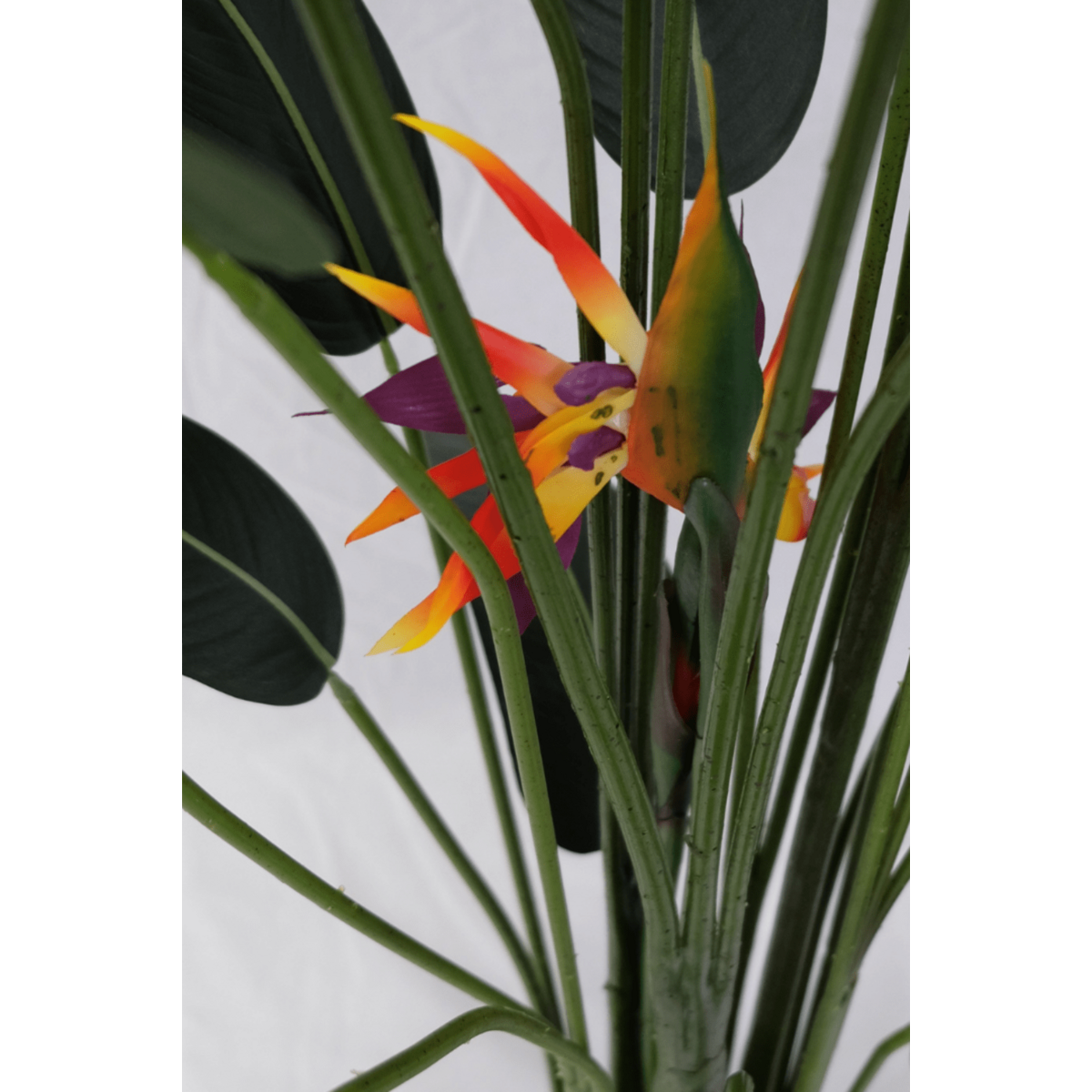 Strelitzia Kunstplant Met Bloem 160cm