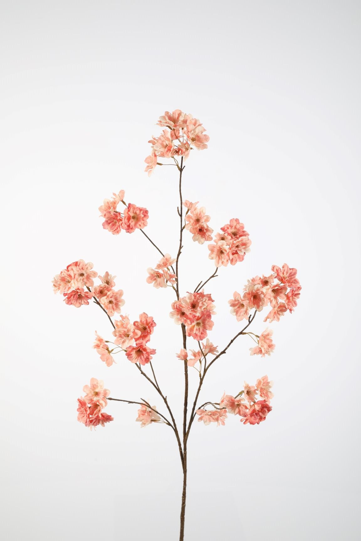 Cherry Blossom spray