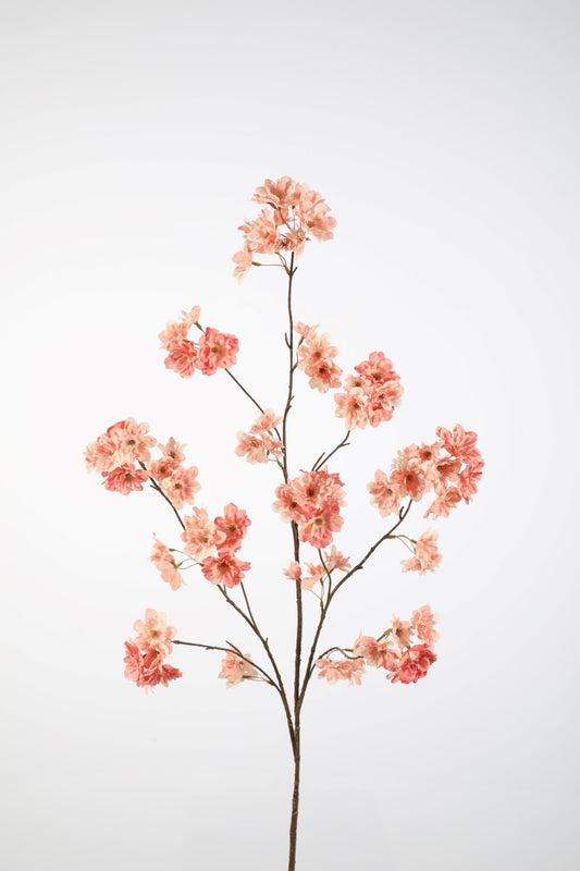 Cherry Blossom spray