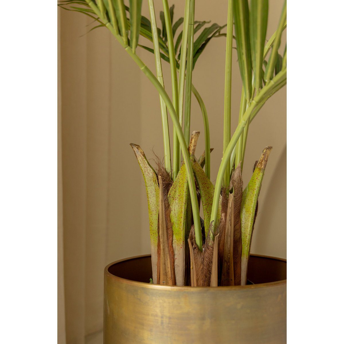 Kentia Kunstpalm 180cm