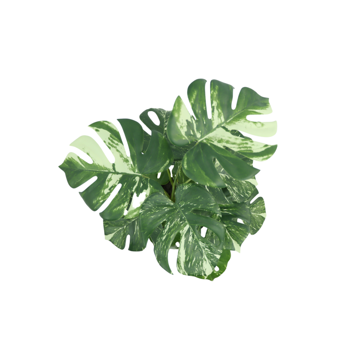 Monstera Kunstplant 40cm