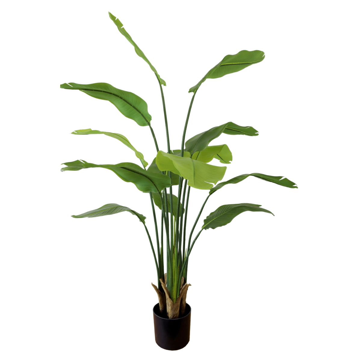 Strelitzia Kunstplant 160cm