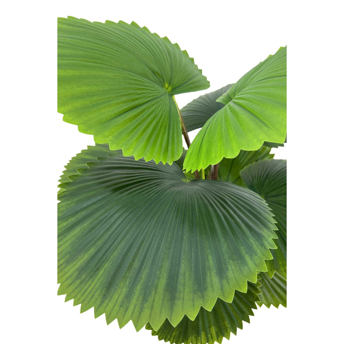 Kunst Waaierpalm 90cm