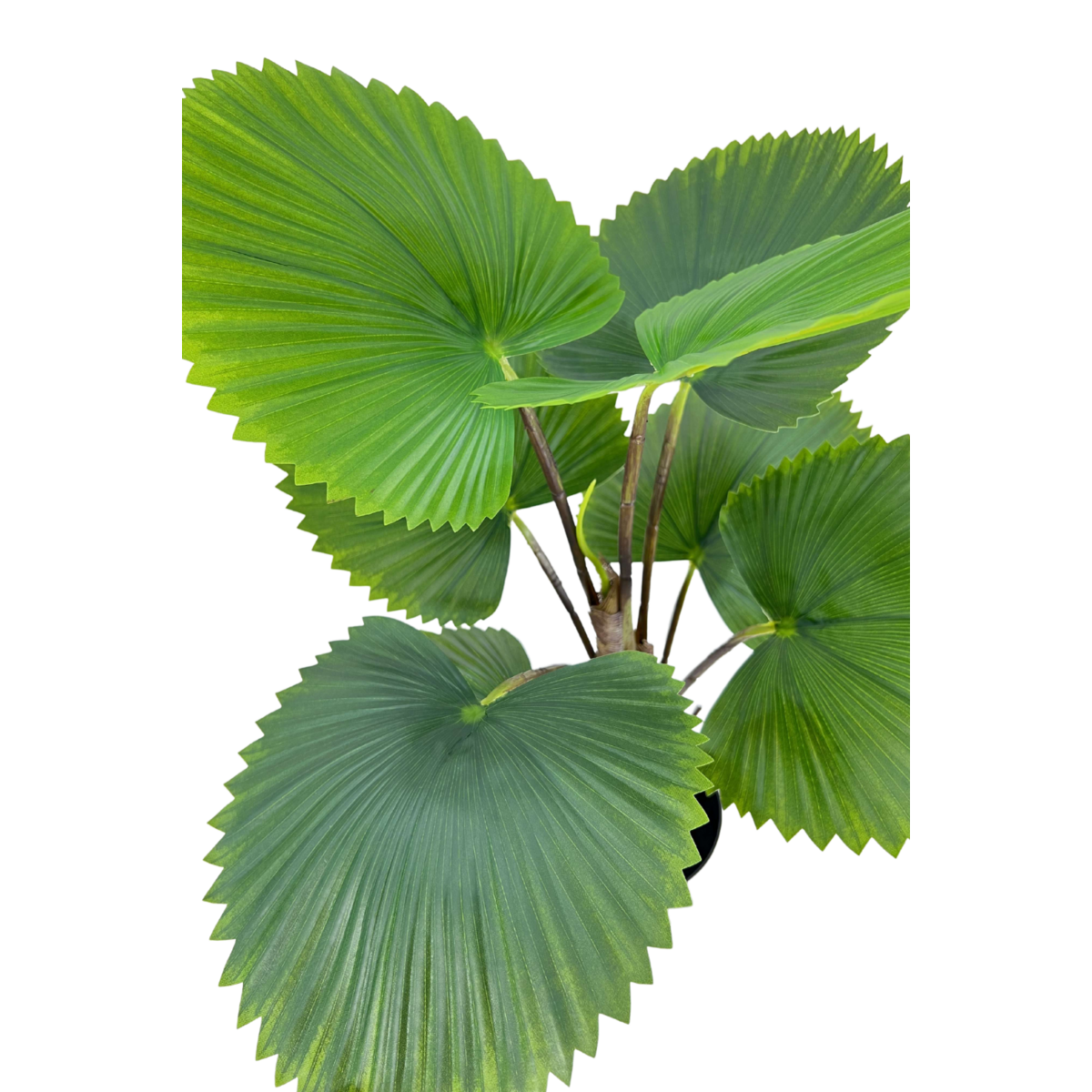 Kunst Waaierpalm 75cm