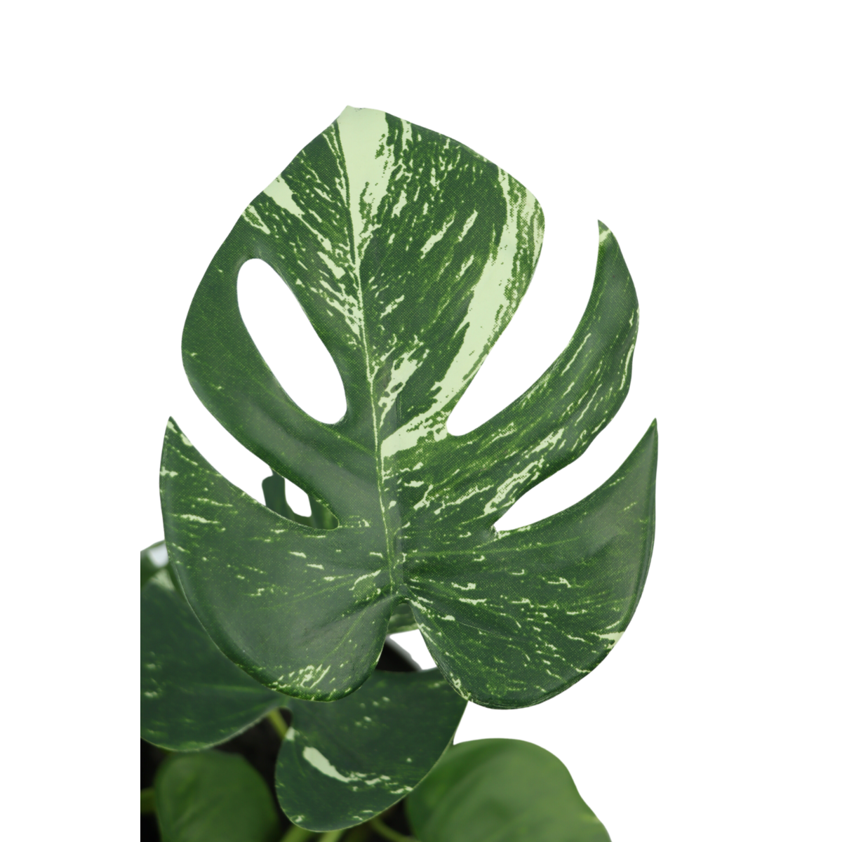 Monstera Kunstplant 40cm
