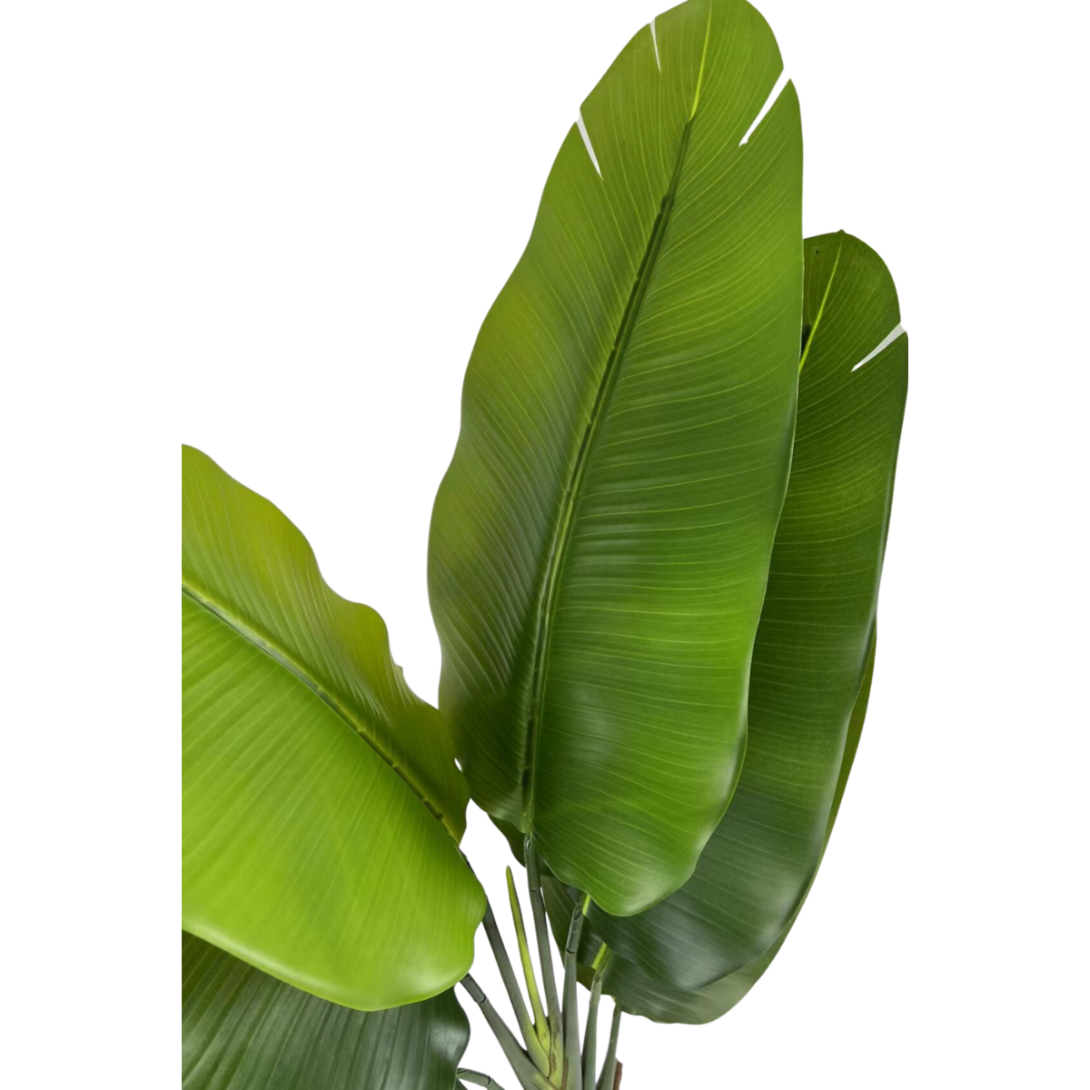 Strelitzia Kunstplant 140cm