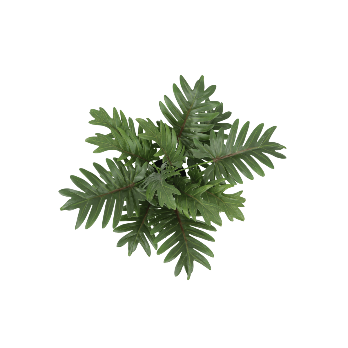 Philodendron Kunstplant 40cm