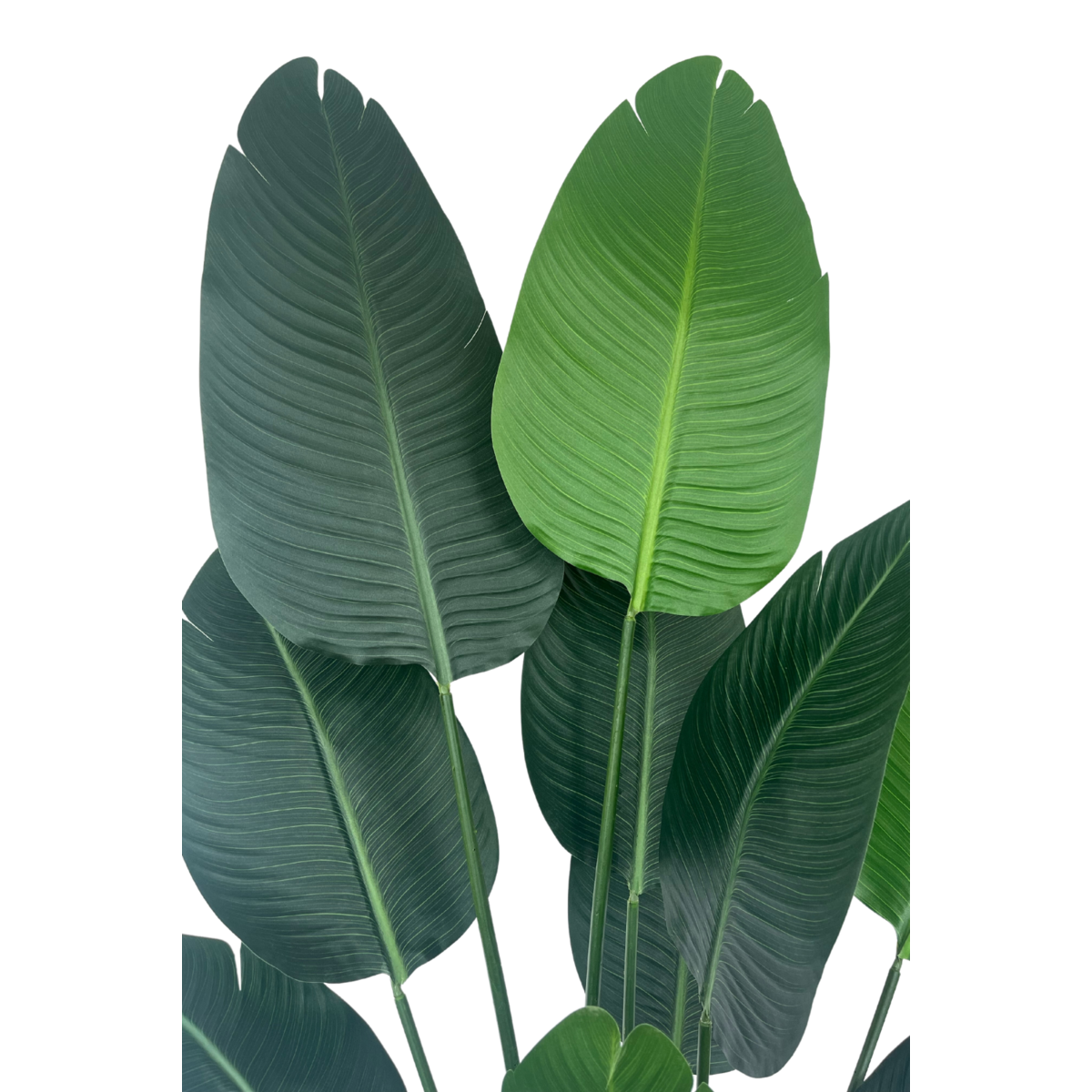 Strelitzia Kunstplant 180cm