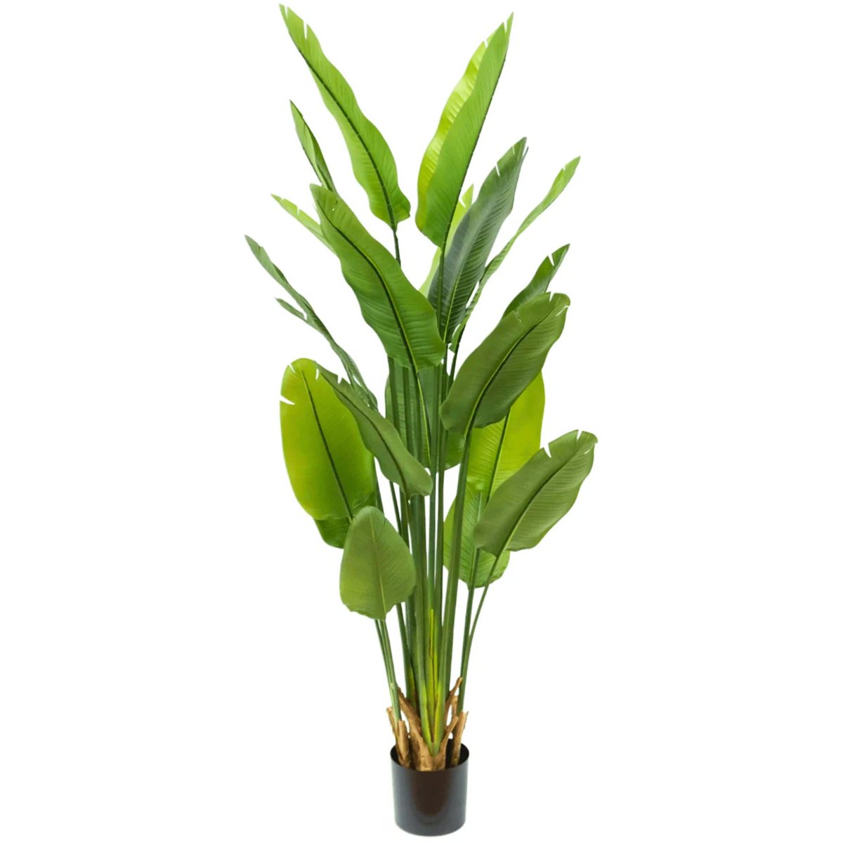 Strelitzia Kunstplant 180cm