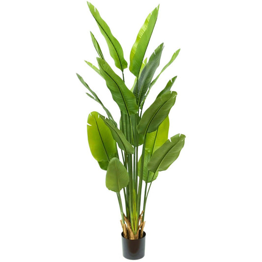Strelitzia Kunstplant 180cm