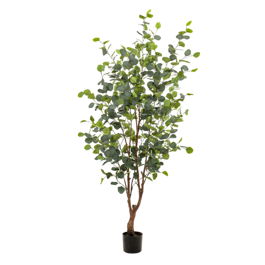 Kunstplant - Eucalyptus - Blauwe Gomboom  - 140 cm