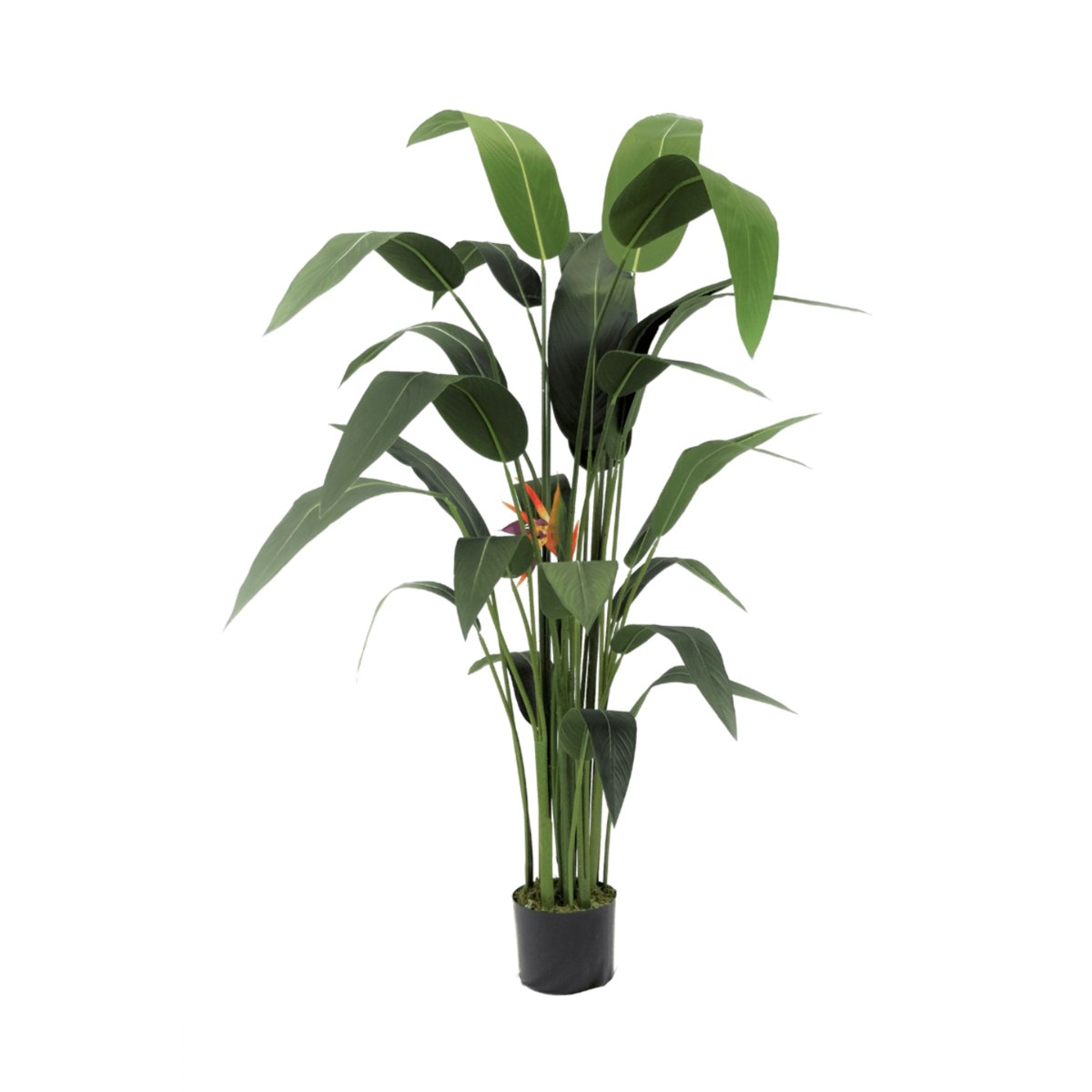 Strelitzia Kunstplant Met Bloem 160cm