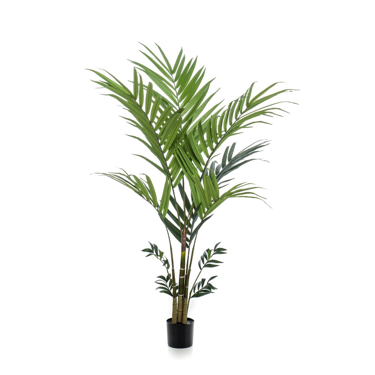 Kunstplant - Kentia -Kentiapalm - 180 cm