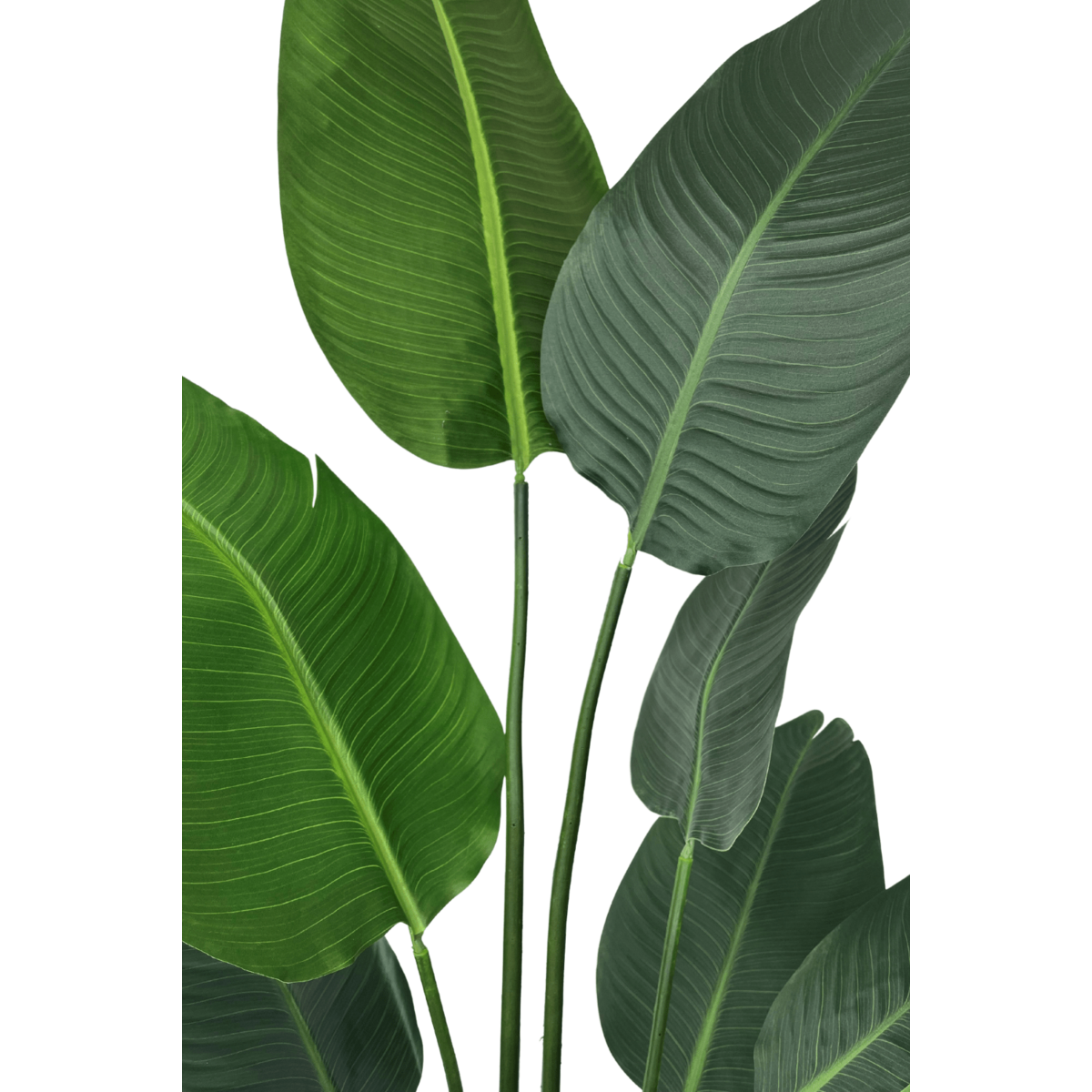 Strelitzia Kunstplant 210cm