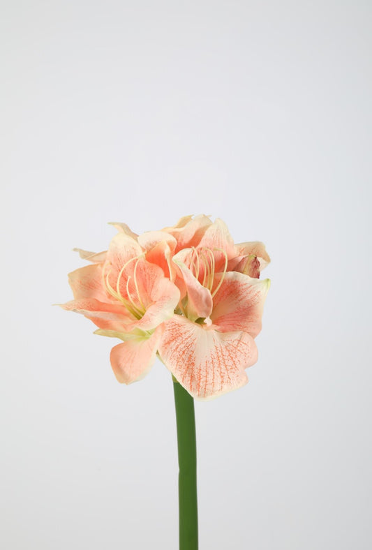 Zijden Amaryllis spray
