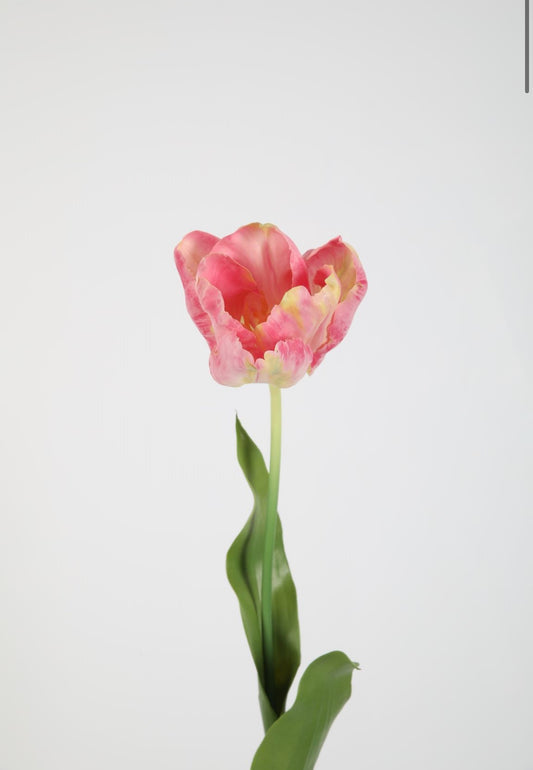 Zijden Tulp roze