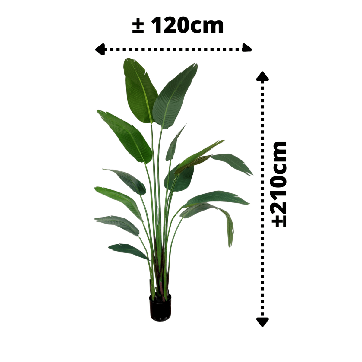 Strelitzia Kunstplant 210cm