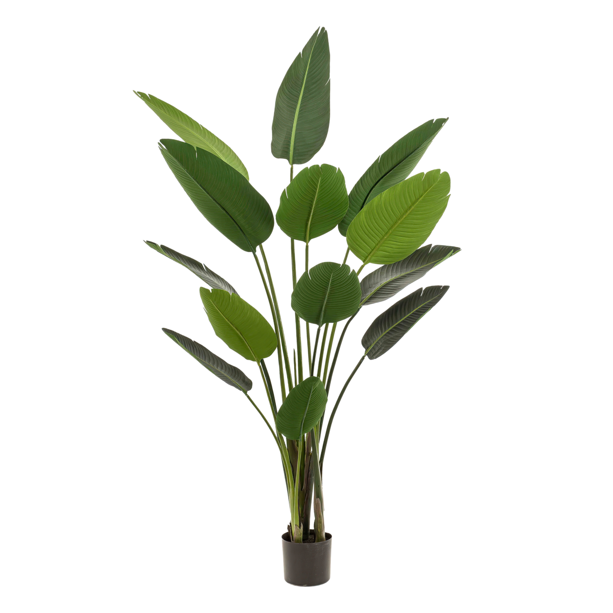 Kunstplant - Strelitzia Nicolai - Paradijsvogelbloem - 190 cm