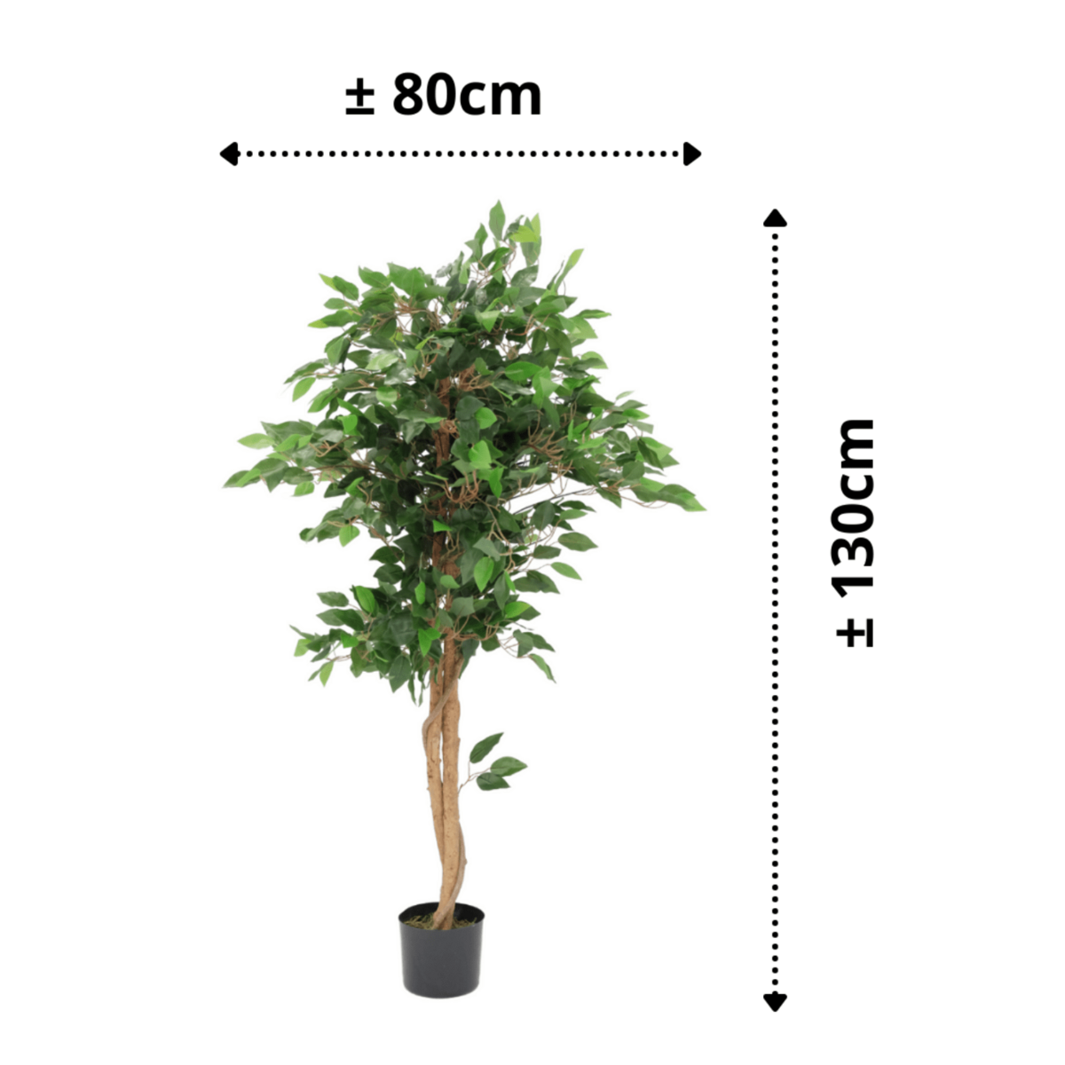 Kunst Ficus 130cm