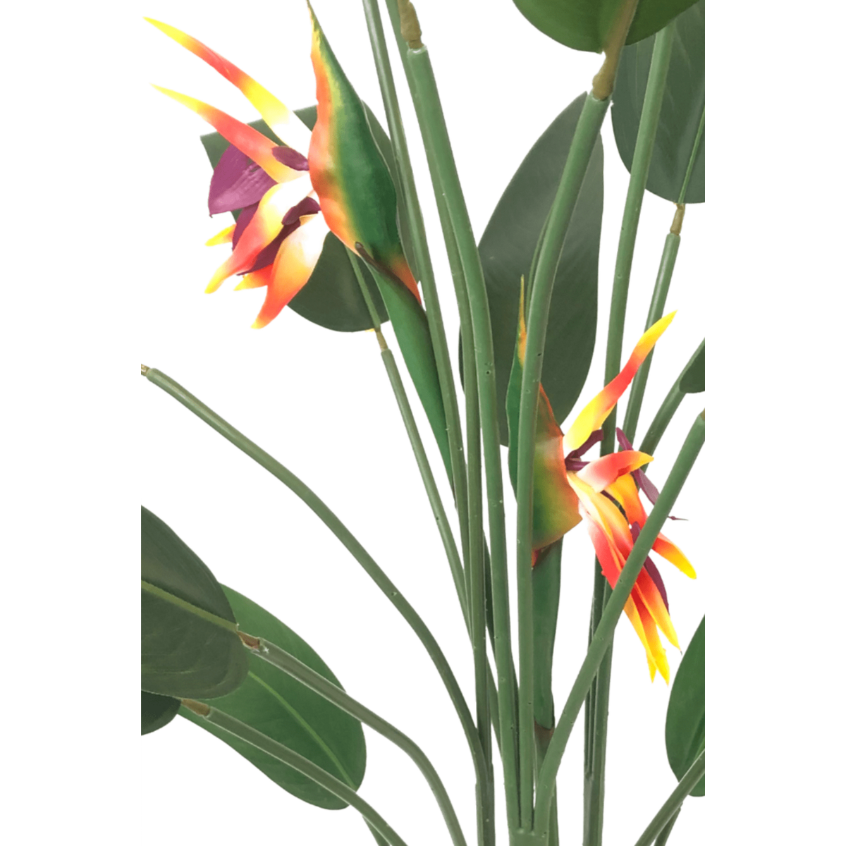 Strelitzia Kunstplant Met Bloem 110cm