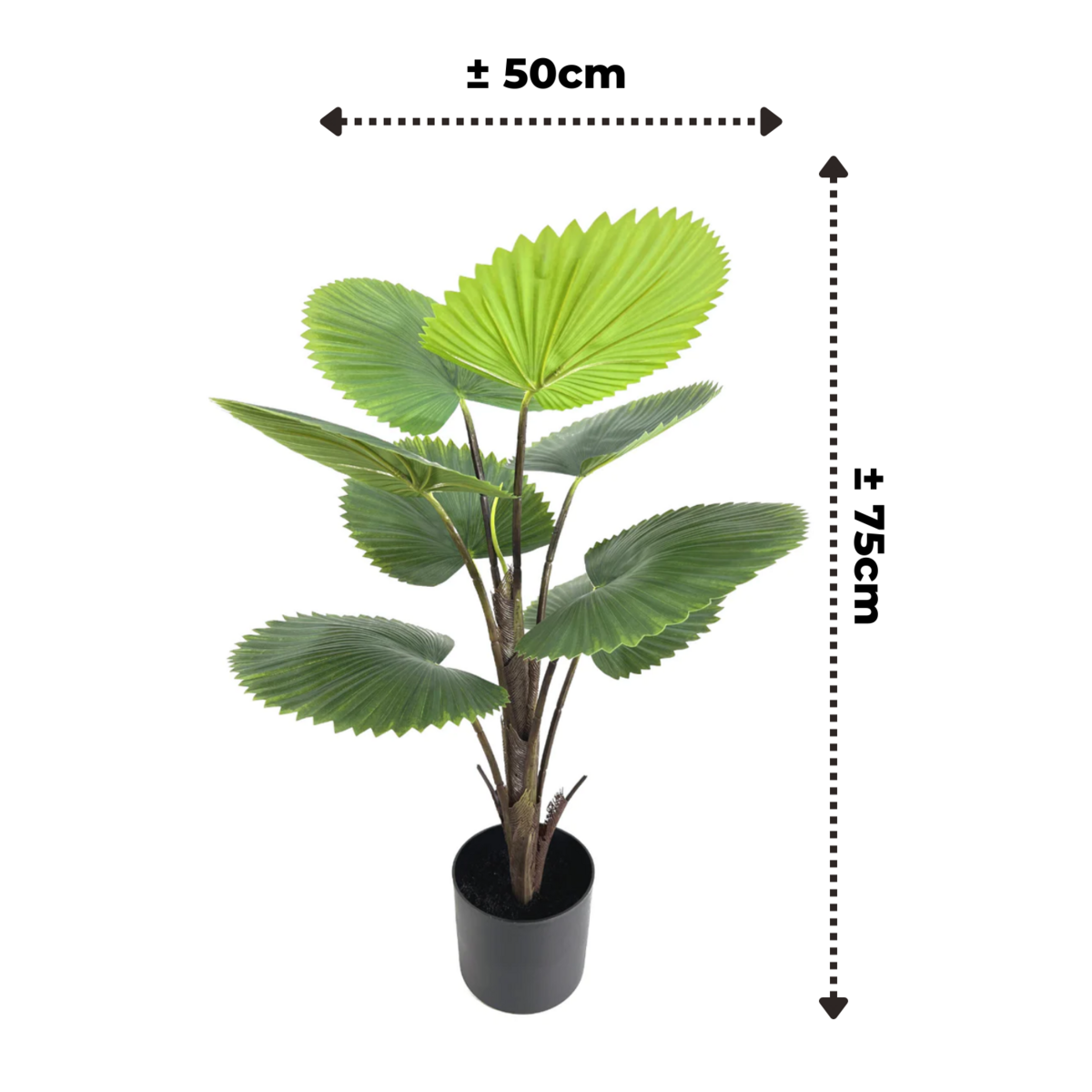 Kunst Waaierpalm 75cm