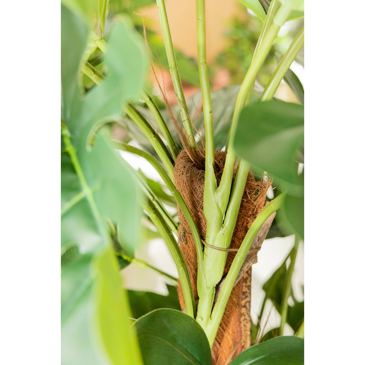 Monstera Kunstplant 120cm