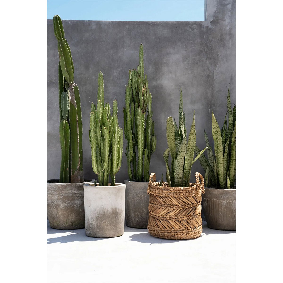 De bananenzigzagmand - M