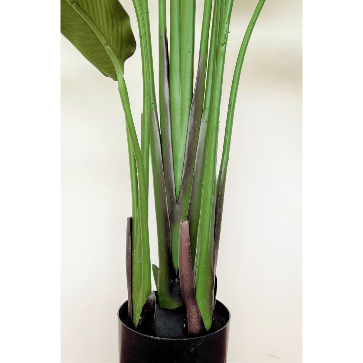 Strelitzia Kunstplant 210cm