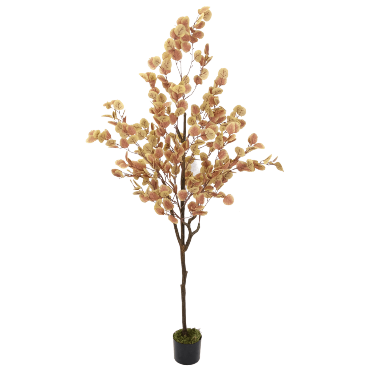 Eucalyptus Kunstboom Roest 180cm