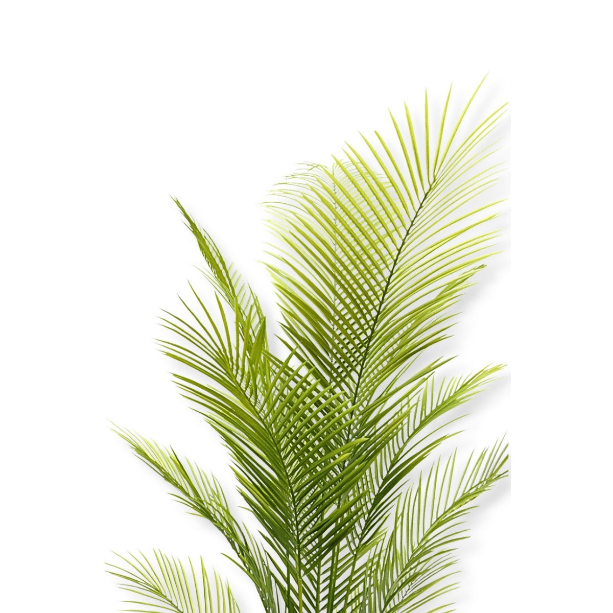Kunstpalm 180cm