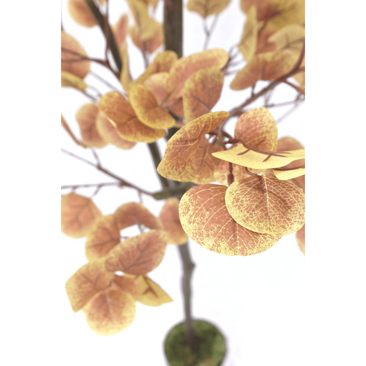 Eucalyptus Kunstboom Roest 180cm