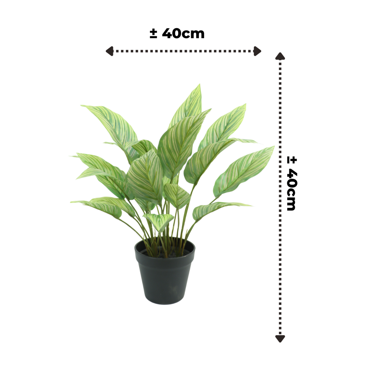 Maranta Kunstplant 40cm