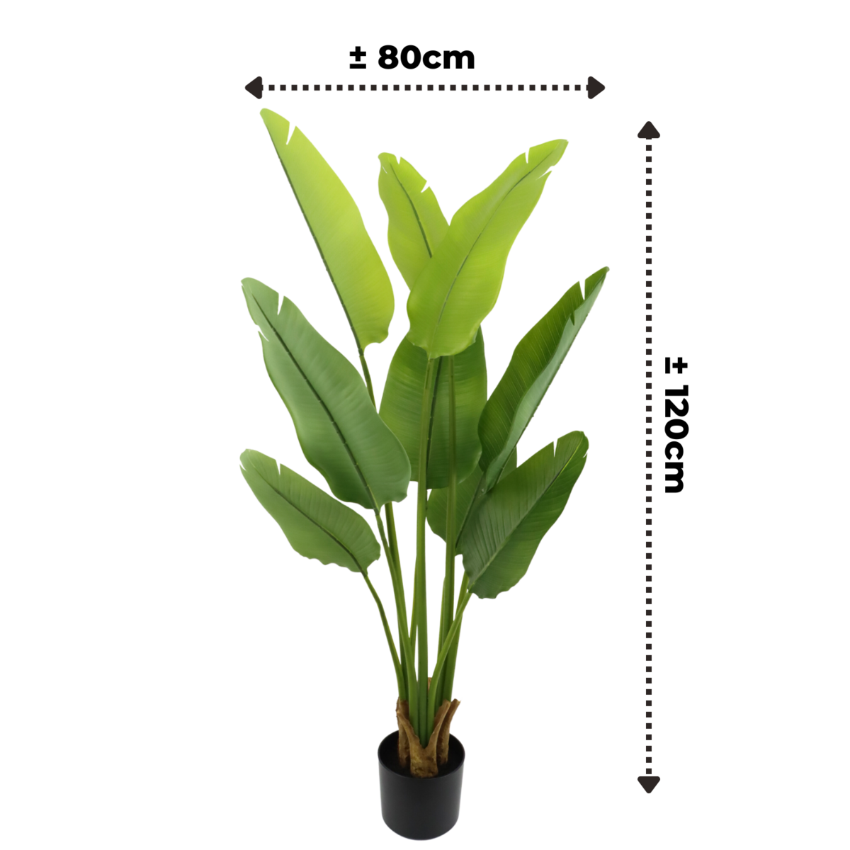 Strelitzia Kunstplant 120cm