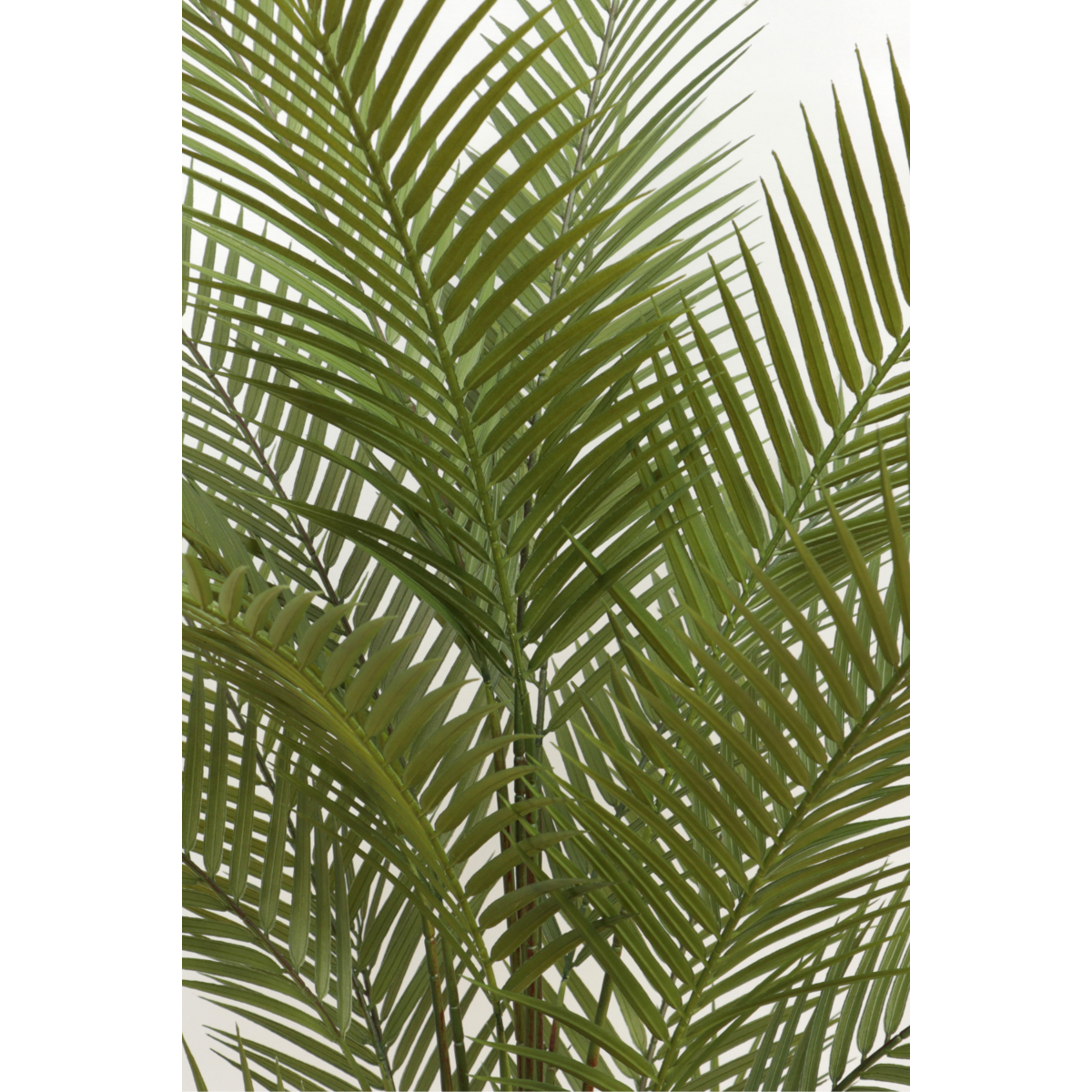 Kunstpalm 150cm