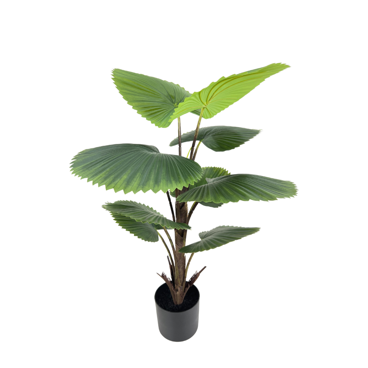 Kunst Waaierpalm 90cm