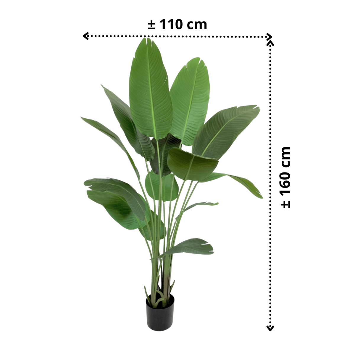 Strelitzia Kunstplant 160cm