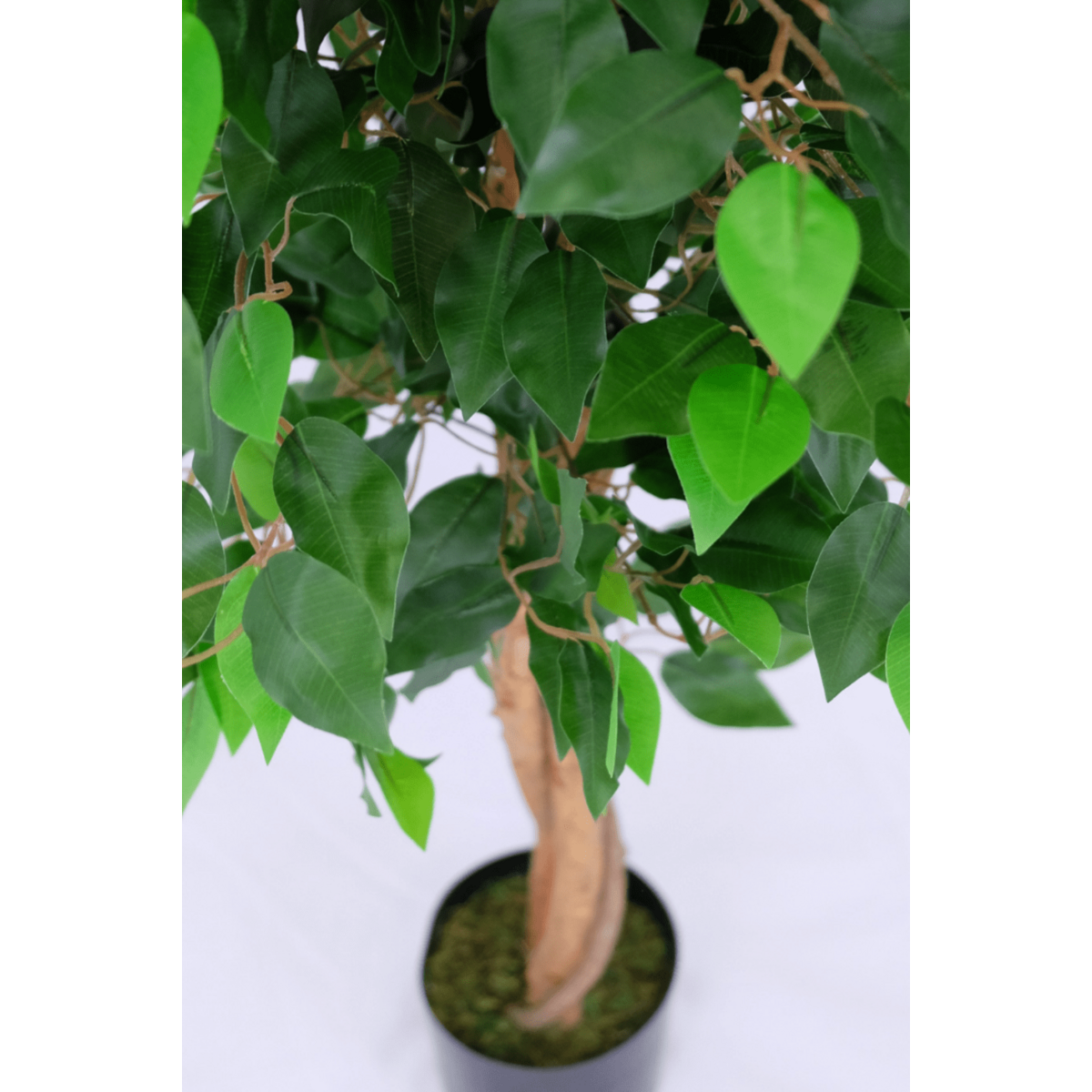 Kunst Ficus 130cm